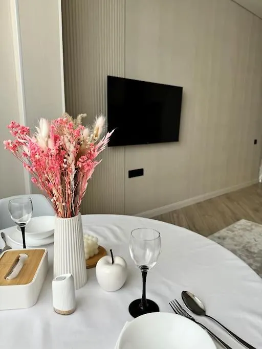 1 Room Apartment Almaty Kazakhstan